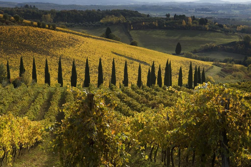 Agriturismo Campo Lungo San Donato in Poggio Ruang foto
